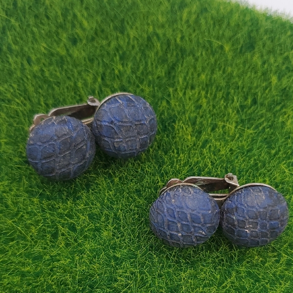 E1003 Elegant Blue Clip-On Earrings - Picture 1 of 3